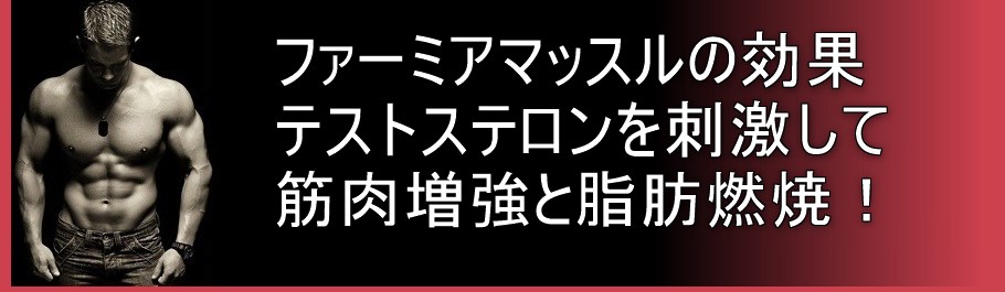 ファーミアマッスルの効果 テストステロンを刺激して筋肉増強と脂肪燃焼